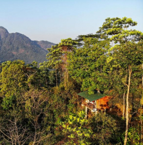 Tree Houses by Jungle River